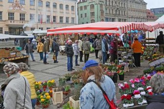 Auf dem Zwickauer Hauptmarkt soll mittwochs ein kurzfristig angesetzter wöchentlicher Markt stattfinden.