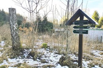 Zuwachs für Tourismus im Vogtland: Fronberg soll besseres Wandergebiet werden - Das obere Ende der Reumtengüner Bergstraße markierte vor fast 100 Jahren ein Sportplatz.