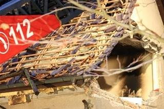 Zwei Bewohner nach Hausexplosion im Krankenhaus -