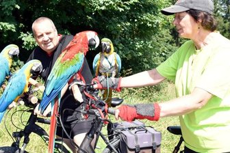 Zwei Hessen und vier Papageien erkunden per Fahrrad das Vogtland -
