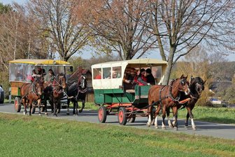 Zwei Kremser und ein U-Boot zum Faschingsauftakt in Callenberg - Der Elferrat von Callenberg zog mit zwei Pferdewagen zum Landgasthof Beierlein in Reichenbach. 
