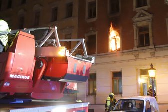 Zwei Menschen und Katzen bei Wohnungsbrand gerettet - 