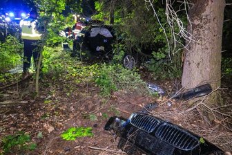Zwei schwer Verletzte bei Kollision mit Baum - 