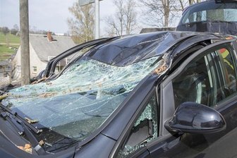Zwei Schwerverletzte: Autofahrer von Ast getroffen -
