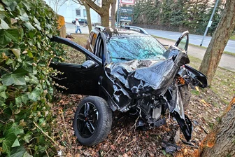 Zwei Schwerverletzte nach Unfall auf B 169: Auto gerät am Kaufland in Frankenberg außer Kontrolle - Ein Auto krachte am Dienstag gegen 16 Uhr auf der B 169 in Frankenberg gegen einen Baum.