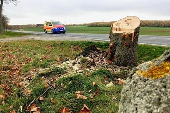Zwei Unfälle an einem Nachmittag - Gegen diesen Baum an der Bundesstraße 173 bei Oberschöna prallte am Dienstagmittag ein VW. Seine beiden Insassen, eine 26-jährige Frau und ihr einjähriges Kind, erlitten bei dem Unfall schwere Verletzungen. 
