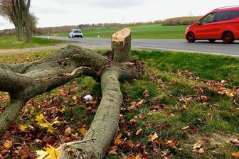 Zwei Verletzte nach Unfall auf B 173 bei Oberschöna - Kurz darauf kracht es noch einmal - Gegen diesen Baum an der B 173 bei Oberschöna prallte am Dienstagmittag ein VW. Seine beiden Insassen wurden schwer verletzt. 