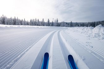 Zweimal zum Sieg: Skilangläufer des SV Stützengrün belohnen sich für lange Anreise - Die Skilangläufer aus dem Erzgebirge waren zuletzt beim Sachsenpokal in Seiffen gefordert.