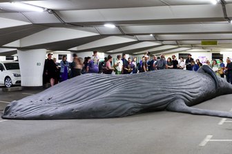 Zweite Ausgabe der Gegenwarten in Chemnitz eröffnet am Freitag: Was macht der Wal in der Tiefgarage? - Der in der Tiefgarage am Theaterplatz "gestrandete" Wal von Künstler Gil Shachar könnte zum Star der Ausstellung werden. Bei einem Presserundgang am Donnerstag konnte der Wal besichtigt werden.