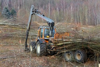 Zwickau: Am Hammerwald wird der Wildwuchs entfernt - Mit schwerer Technik wird der Wildwuchs am Hammerwald beseitigt.