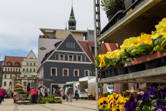 Zwickau: Die Saison der Frischemärkte beginnt - Die Saison der Frischemärkte beginnt wieder. Foto: Kultour Z.