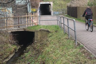 Zwickau: Ein Abschnitt des Marienthaler Baches wird geöffnet - Der Marienthaler Bach – hier in Höhe der Kopernikusstraße.