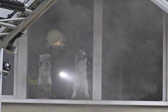 Zwickau: Feuer im Studentenwohnheim -