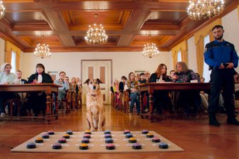 Zwickau: Filmverleih verspricht absurd-komische Momente in „Hundschuldig“ - Szene aus dem Film „Hundschuldig“, der im Kino „Casablanca“ in Zwickau gezeigt wird.