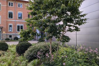 Zwickau: Firma Dregabau Reinsdorf erhält Preis des sächsischen Garten- und Landschaftsbaus - Für die Gestaltung der Außenanlagen der 1893 errichten Villa Schön in Zwickau gab es den Preis.