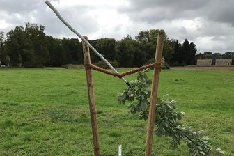 Zwickau: Gedenkbaum für erstes NSU-Opfer abgesägt - Der abgesägte Baum auf dem Schwanenteichgelände. Davor das Schild, das an das erste Opfer des NSU, Enver Şimşek, erinnert.