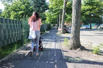 Zwickau: Gehweg an der Franz-Mehring-Straße soll saniert werden - Ein Abschnitt des Gehweges an der Franz-Mehring-Straße wird ab Mitte September saniert.