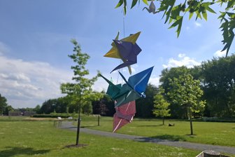 Zwickau: Jugendbeirat übernimmt Patenschaft für Gedenkbaum - Der Gedenkhain im Zwickauer Schwanenteichpark für die Opfer des NSU.