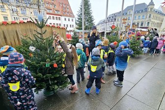Zwickau: Kinder schmücken Weihnachtsbäumchen - Die ersten kleinen Weihnachtsbäume vor dem Rathaus sind bereits geschmückt.