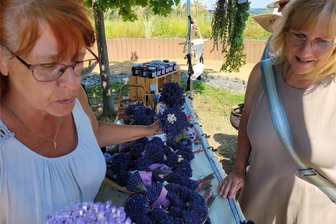 Zwickau: Lavendel begeistert nicht nur blühend - Steffi Strobelt (l.) berät Klaudia Domaschk bei der Wahl eines Lavendelstraußes.