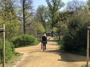 Die Zwickauer Parks wurden am Freitag nach vierwöchiger Sperrung wieder geöffnet.