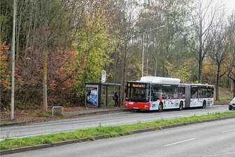 Zwickau opfert wilden Wald für neues Wohngebiet - Auf dem Waldstück zwischen der Planitzer Straße und der Geinitzsiedlung in Schedewitz soll ein Wohngebiet mit 60 Wohneinheiten entstehen. 