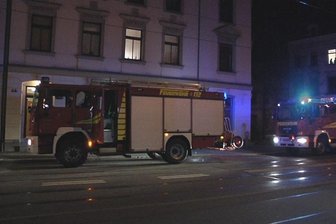 Die Berufsfeuerwehr Zwickau konnte das Feuer schnell löschen.