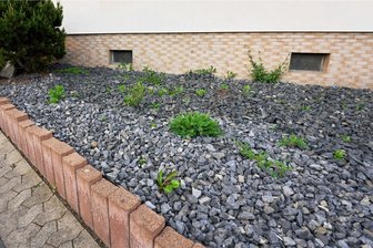 Zwickau: Stadt soll prüfen, ob Schottergärten zu verhindern sind - So sollen Gärten nach dem Willen der CDU/FDP-Fraktion künftig nicht mehr aussehen. 