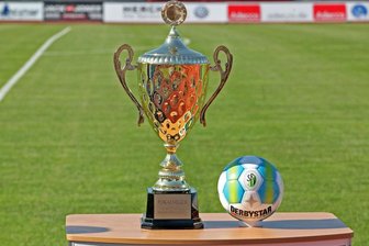 Zwickau verliert Heimrecht - Sachsenpokal-Finale findet in Aue statt -