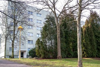 Zwickau: Warum 30 Jahre alte Thuja-Hecken in Neuplanitz weichen müssen - Ende Januar standen die Thuja-Hecken vor dem Wohnblock Allendestraße 116 a-e in Zwickau-Neuplanitz noch.