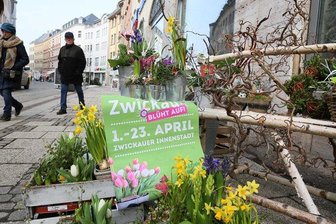 Zwickau wird grün und bunt - 