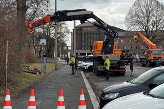 Zwickauer Bahnhofsvorplatz: Warum Bäume weichen müssen - Bäume werden gefällt, um Platz für den Umbau des Bahnhofsvorplatzes zu schaffen.