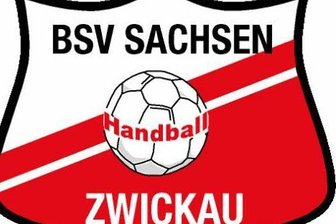 Zwickauer Handballerinnen siegen trotz Fehlstart -