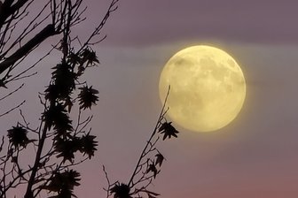 Zwickauer Hobby-Astronom fängt den Supermond über der Stadt ein – trotz störender Lichtquellen -
