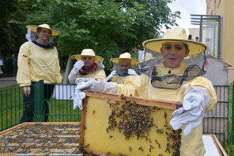 Zwickauer Kinder erleben das Bienenjahr mit - Der siebenjährige Max sprach von einer Mutprobe im Umgang mit den Bienen.