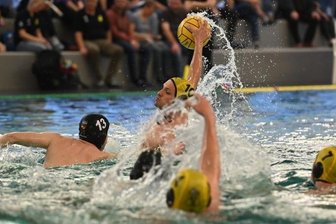 Zwickauer machen es unnötig spannend - Die Zwickauer Wasserballer - hier mit Aljosa Bakovic am Ball - waren gegen Hellas Hildesheim mit 14:11 erfolgreich. 