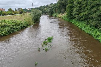 Zwickauer Mulde aalt sich in ihrem Bett: Pegel im grünen Bereich - Samstagmittag: Blick von der Paradiesbrücke auf die Zwickauer Mulde flussabwärts.