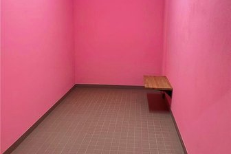 Zwickauer Polizei setzt auf die Farbe Rosa: Eine Zelle namens Babe - So sieht die Zelle aus – hier drin sollen sich die Gemüter kühlen.