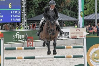 Zwickauer sammelt wichtige Punkte - Felix Wassenberg vom RFV Paulushof Zwickau belegte bei den Dorfchemnitzer Pferdetagen in der Zwei-Phasen-Springprüfung Klasse S* Platz 3 und lobte danach vor allem auch die Bedingungen. 