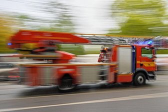 Zwickauer Supermarkt nach Brand einer Papppresse evakuiert - In einem Zwickauer Discounter hat am Samstagabend eine Papppresse gebrannt.