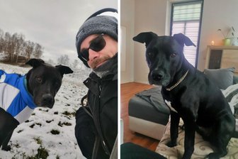 Zwickauer Tierfreunde in Sorge: Ist Bob an einer Vergiftung gestorben? - Marcel Grimm und sein Labrador-Mix Bob. Der Hund ist vorige Woche gestorben, Marcel Grimm vermutet, an den Folgen eines vergifteten Köders, der auf einer Wiese in Pölbitz auslag.