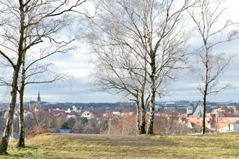 Zwischen Gans und Geschenken: 7 Tipps für die Feiertage in und um Freiberg - Einen tollen Blick auf die Freiberger Altstadt hat man von der Halde „Alte Elisabeth“ in Freiberg. Am Fuße kann man parken.