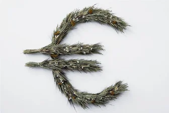 Zwischen gewissem Wahn und ungewisser Wirklichkeit - Wer feiert fette Ernte? "€" von Anna Steinherz.