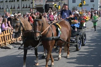 Zwönitzer feiern doppelt: Erntedank und Pferdetag - Einer der Höhepunkte am Sonntag war der Festumzug der Pferdesportvereine mit 28 Schaubildern.