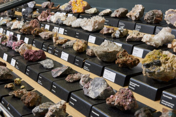 Zwickau Mineralien-, Fossilien- und Gesteinssammlung
